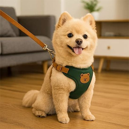 spitz assis avec harnais pour petit chien vert