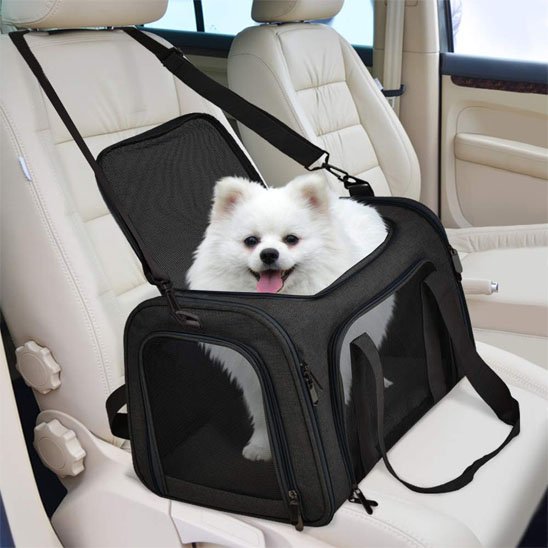 spitz dans sac de transport pour chien siège voiture