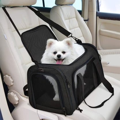 spitz dans sac de transport pour chien siège voiture