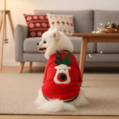 spitz portant pull pour chien renne rouge assis devant fauteuil