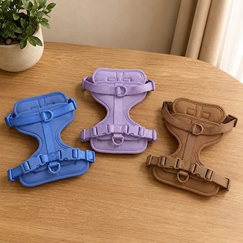 trois harnais chien anti traction bleu violet marron sur table