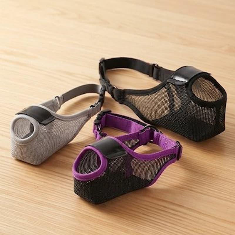 trois muselière chien en maille gris noir et violet