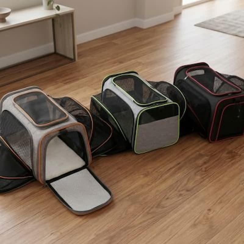 trois sac de transport pour chien alignes sur sol maison
