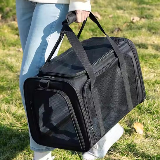 une personne porte sac de transport pour chien noir
