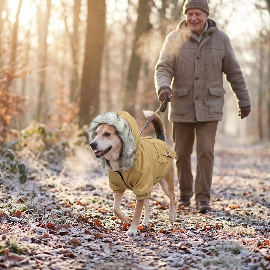 vieil homme promene chien avec manteau pour chien temps froid