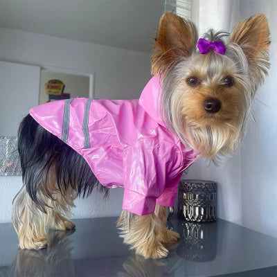 yorkshire debout avec manteau pour chien rose