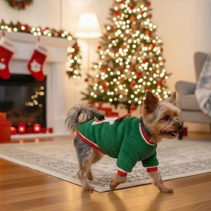 yorkshire portant pull pour chien renne vert décor noël